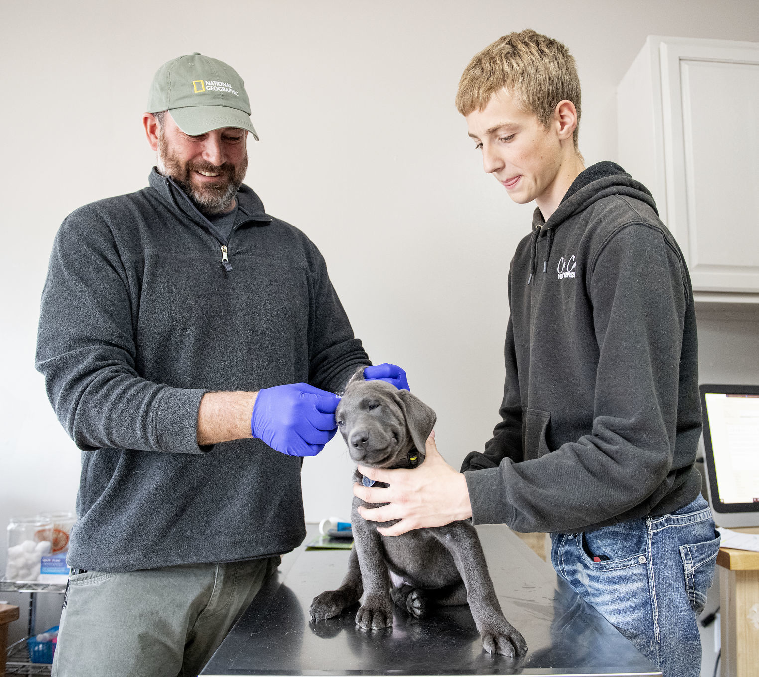 Cedar County Veterinary Services